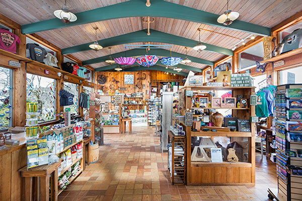 Top 10 mẫu thiết kế cửa hàng quà lưu niệm đẹp nhất 2019